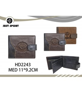 HD2243