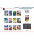 SY28 PACK DE 12