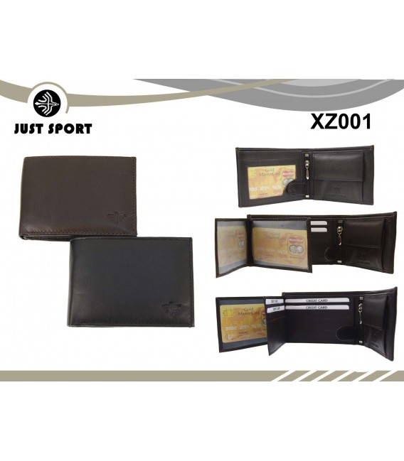 XZ001