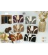 CC368-S PACK DE 6