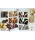 CC369-M PACK DE 6